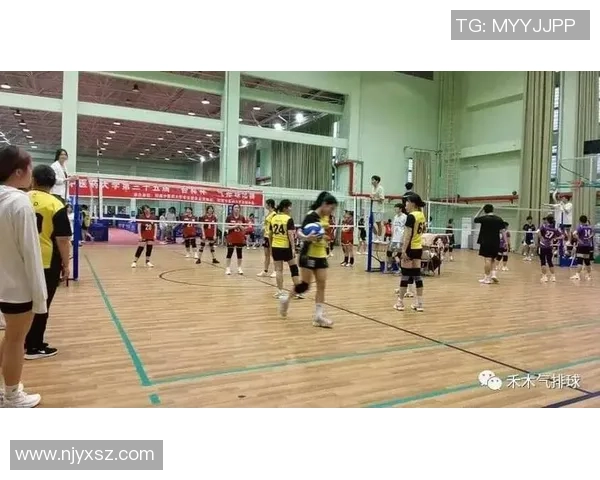 重庆排球队防守策略解析助力球队在排球赛场上崭露头角